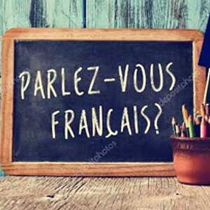 Learn French language | Self-study - Linguaphone